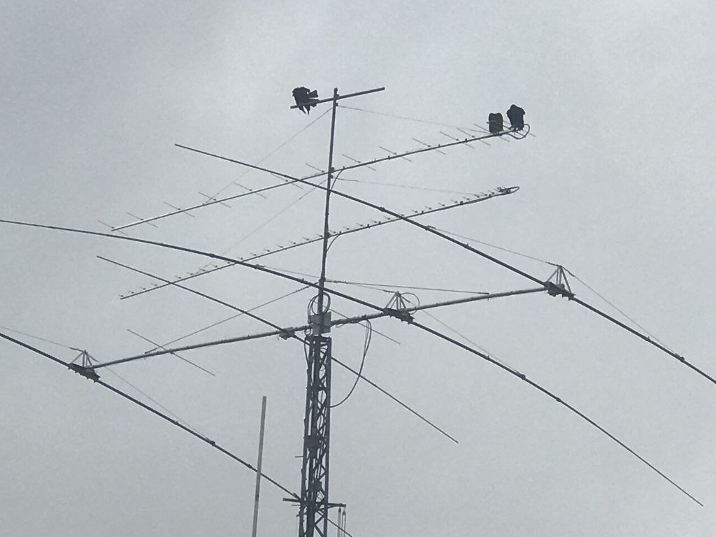 picture of antennas--Bud W3LL